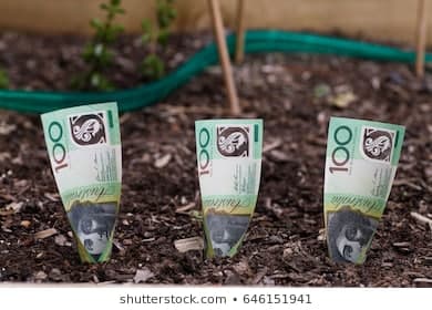 Growing your money