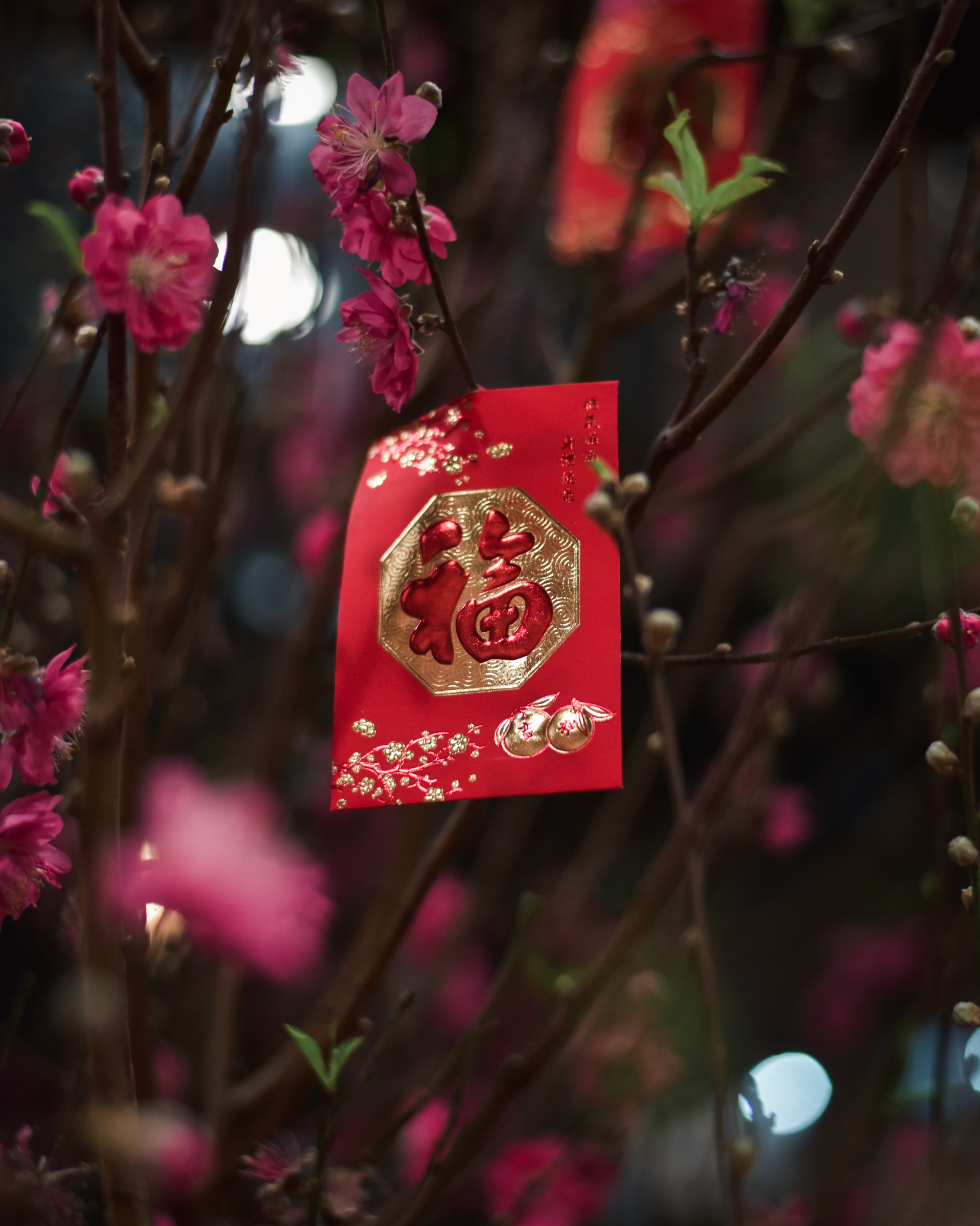 新年快乐: Chinese/Lunar New Year in Australia