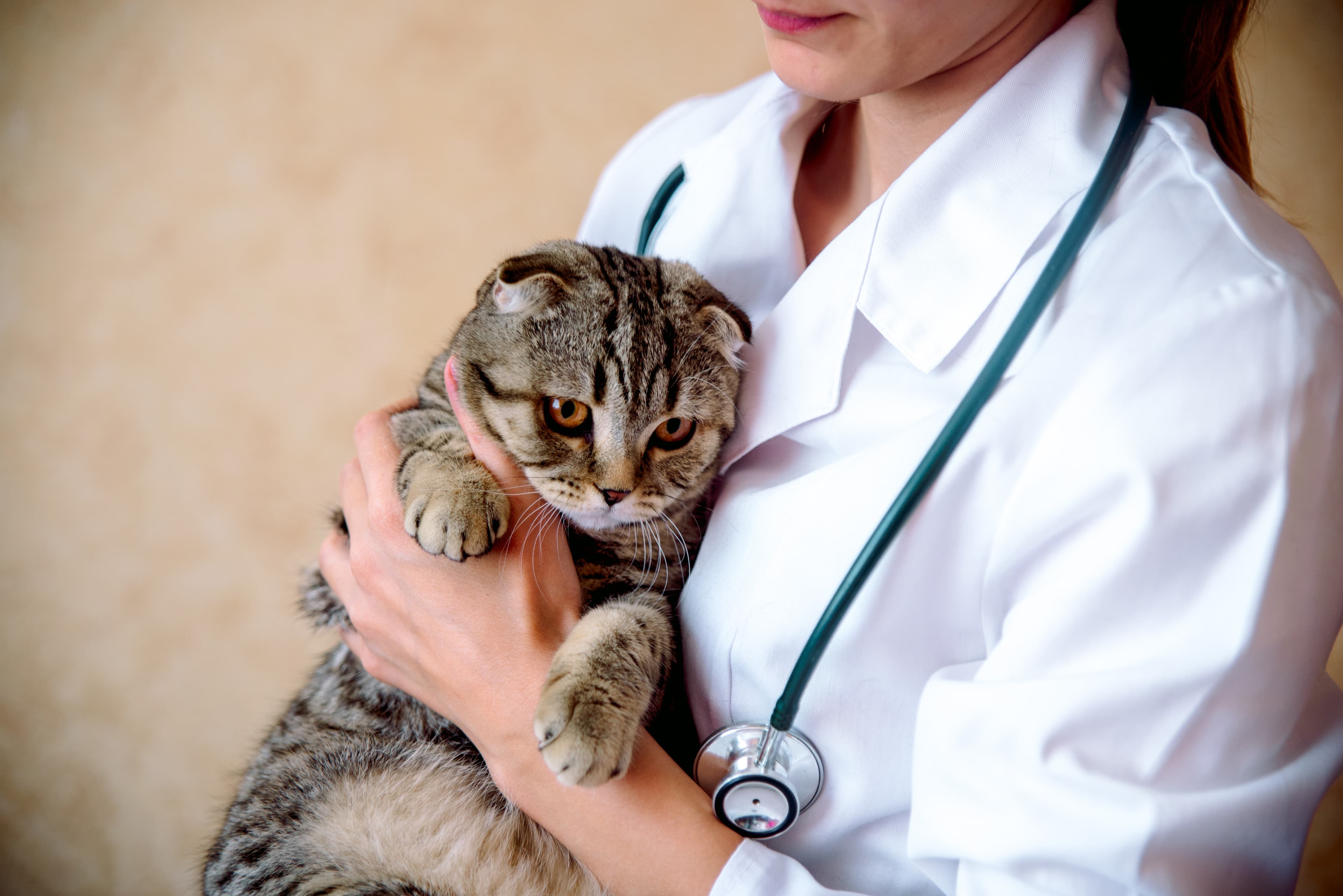 The changing face of veterinary science