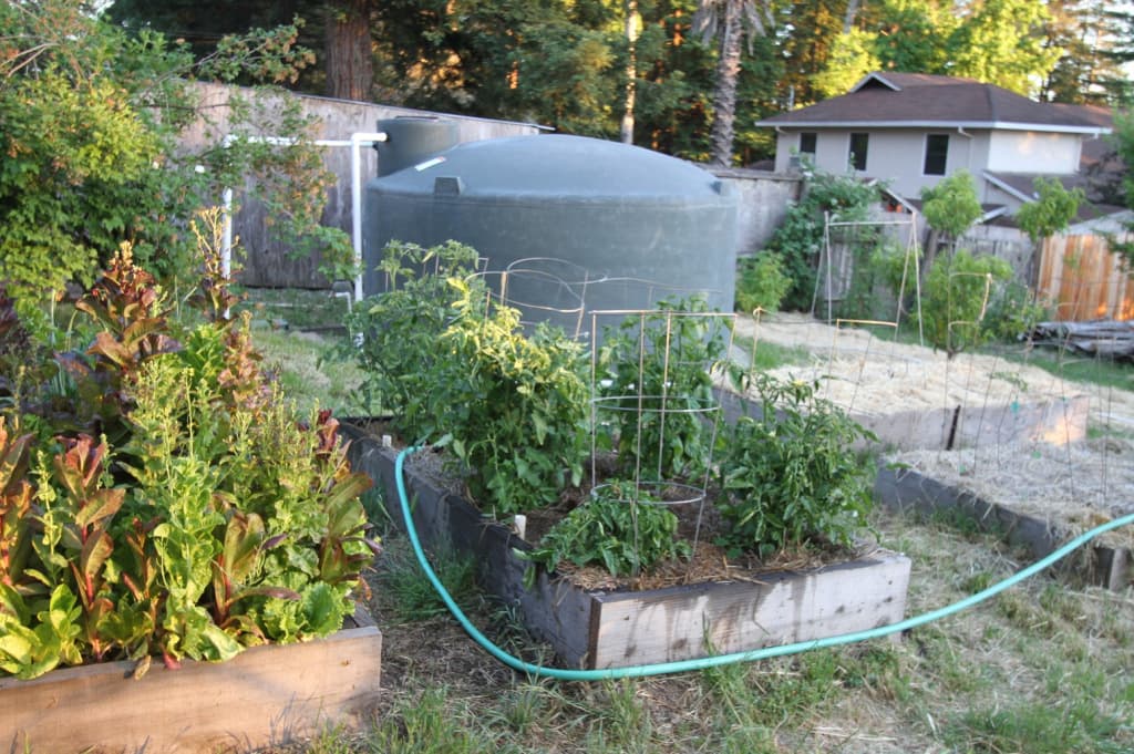 Water Wise Gardening