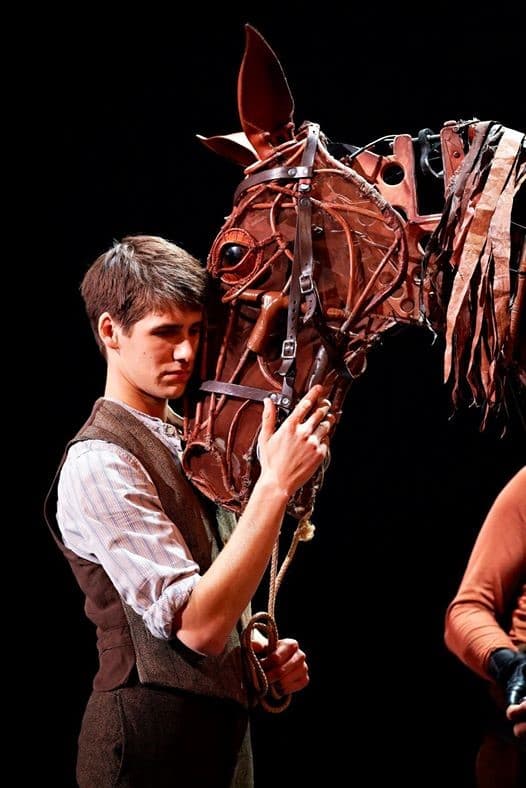 War Horse Inspires Through Courage, Wit and Will
