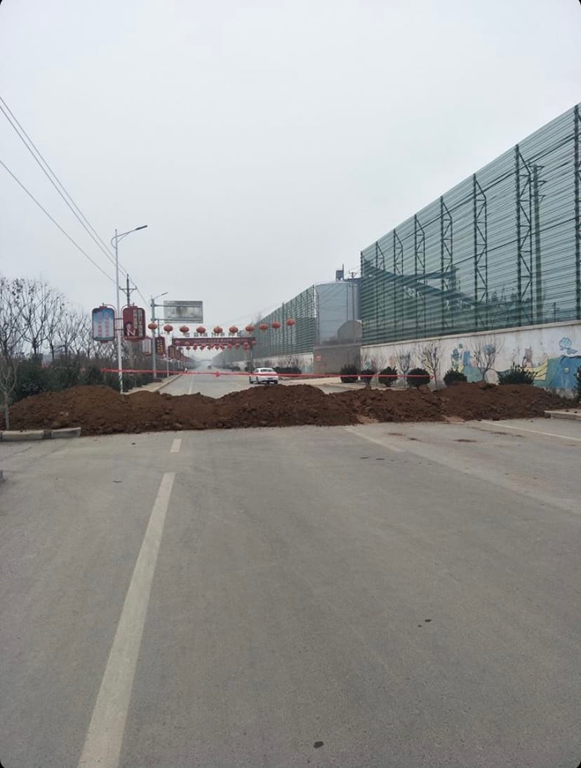 Chinese International Living in Coronavirus Lockdown