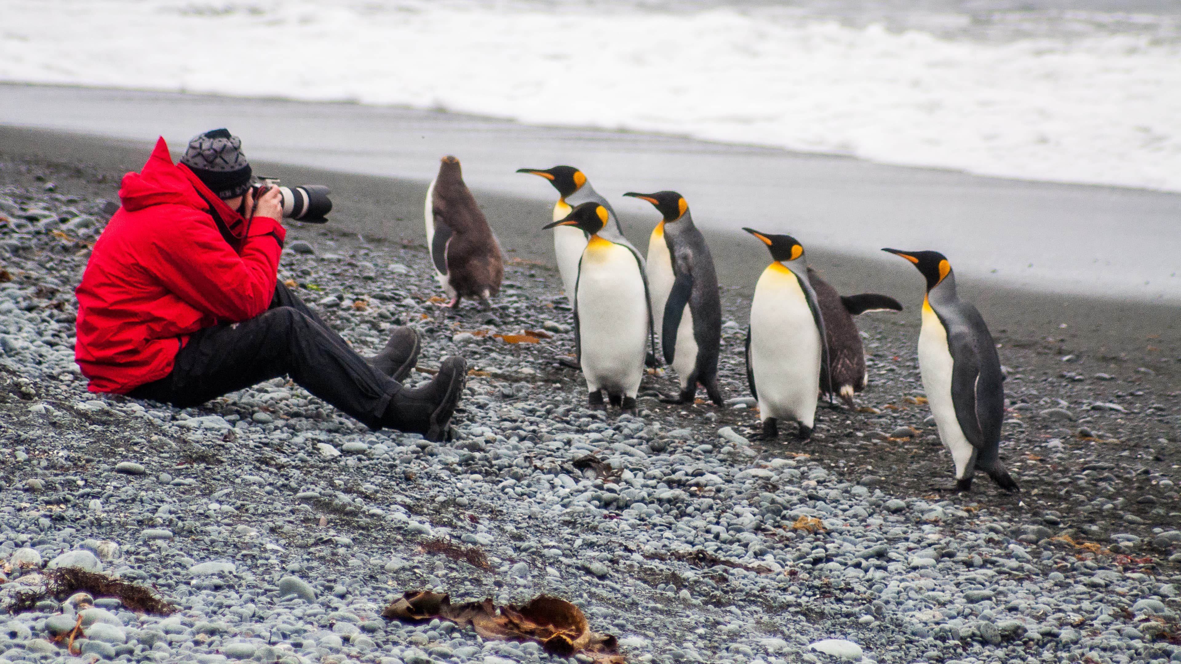 Climate Change Hot Topic in Wildlife Photographer of the Year Exhibition