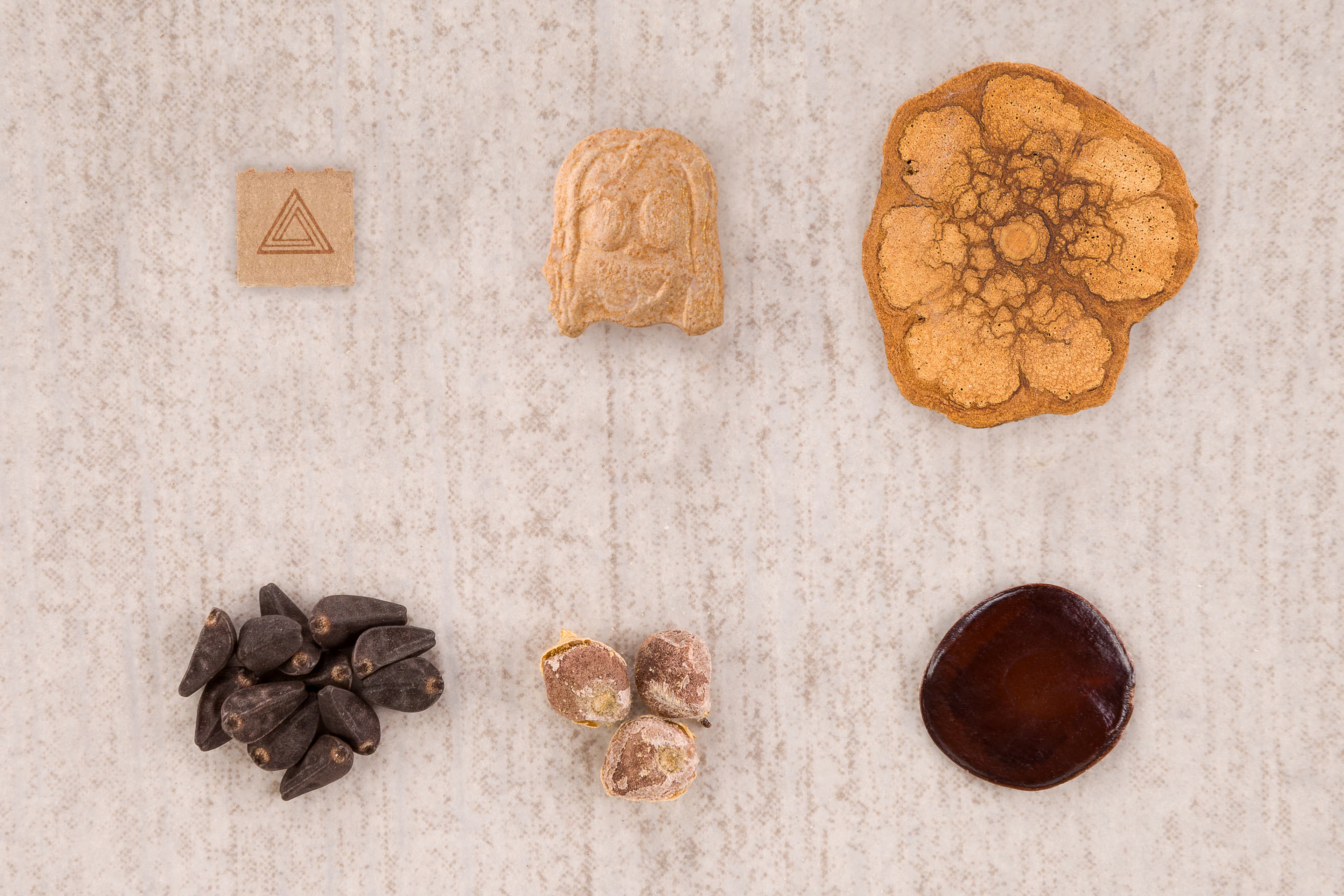 ‘Dosed’ and the Magic of Psychedelic Medicine