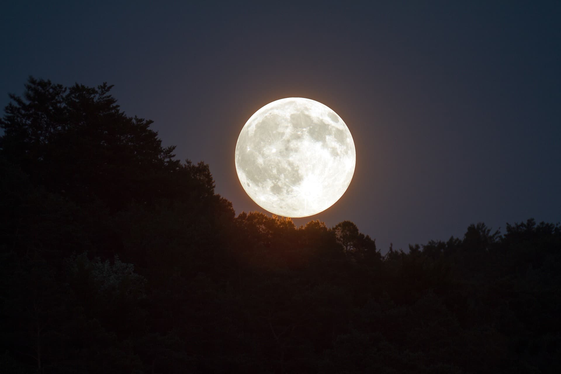 Watch Out For Tonight’s Super Moon