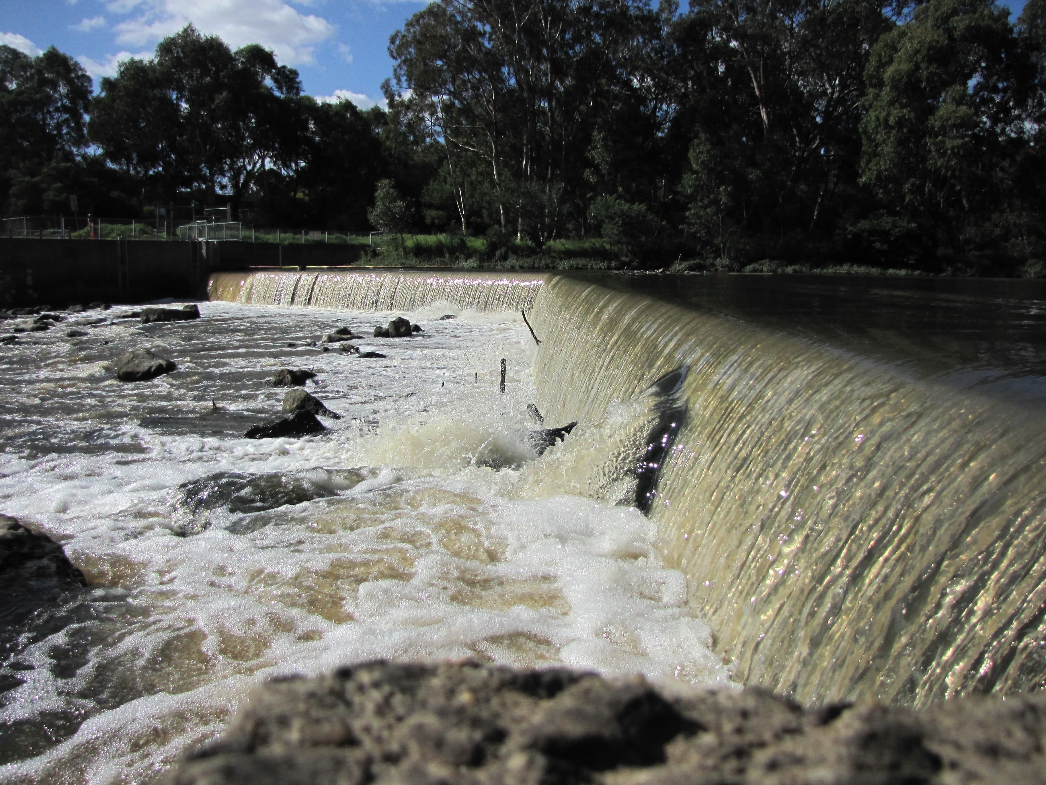 How Bushfires Affect Your Drinking Water