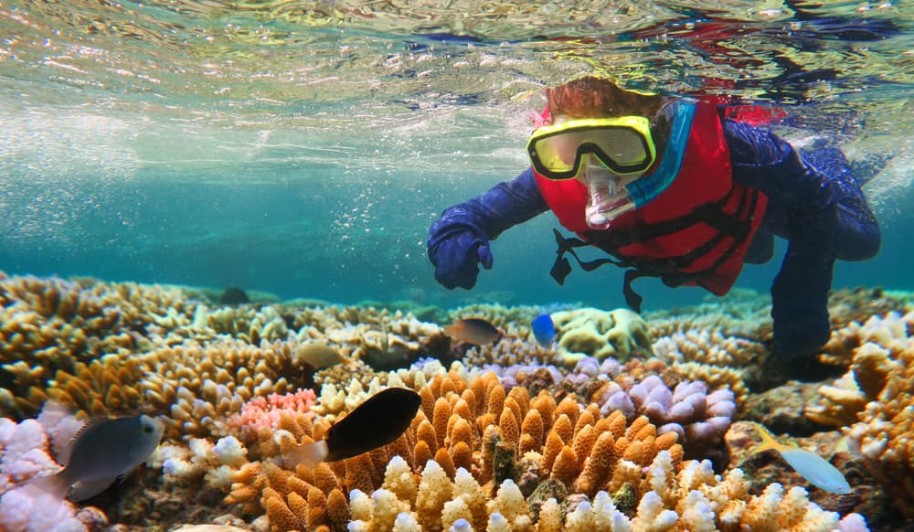 How Technology Can Save The Great Barrier Reef