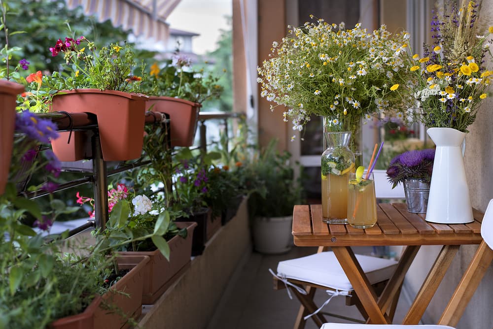 Grow A Garden, Even From Your Balcony!