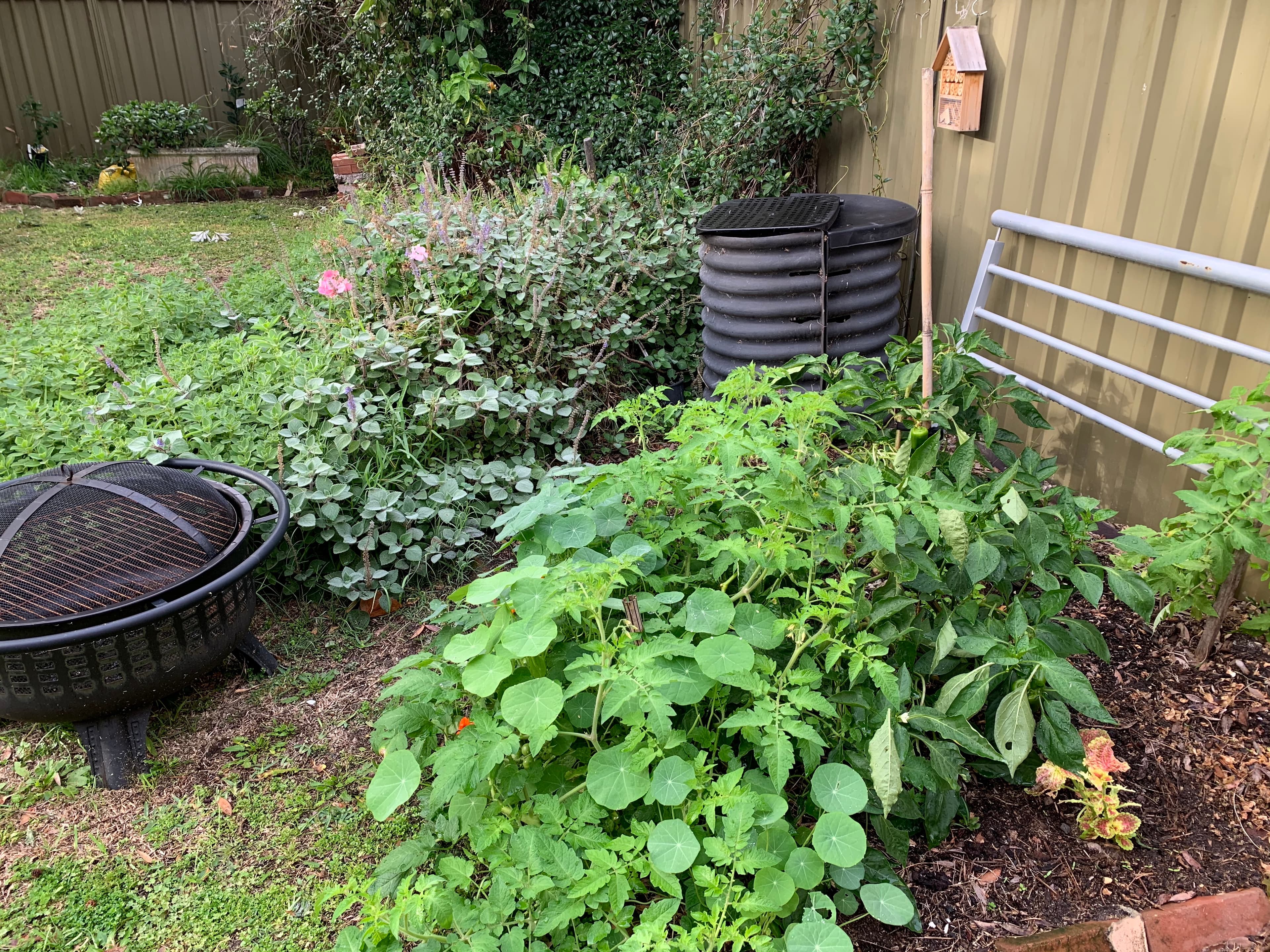 Sydney Edible Garden Trail