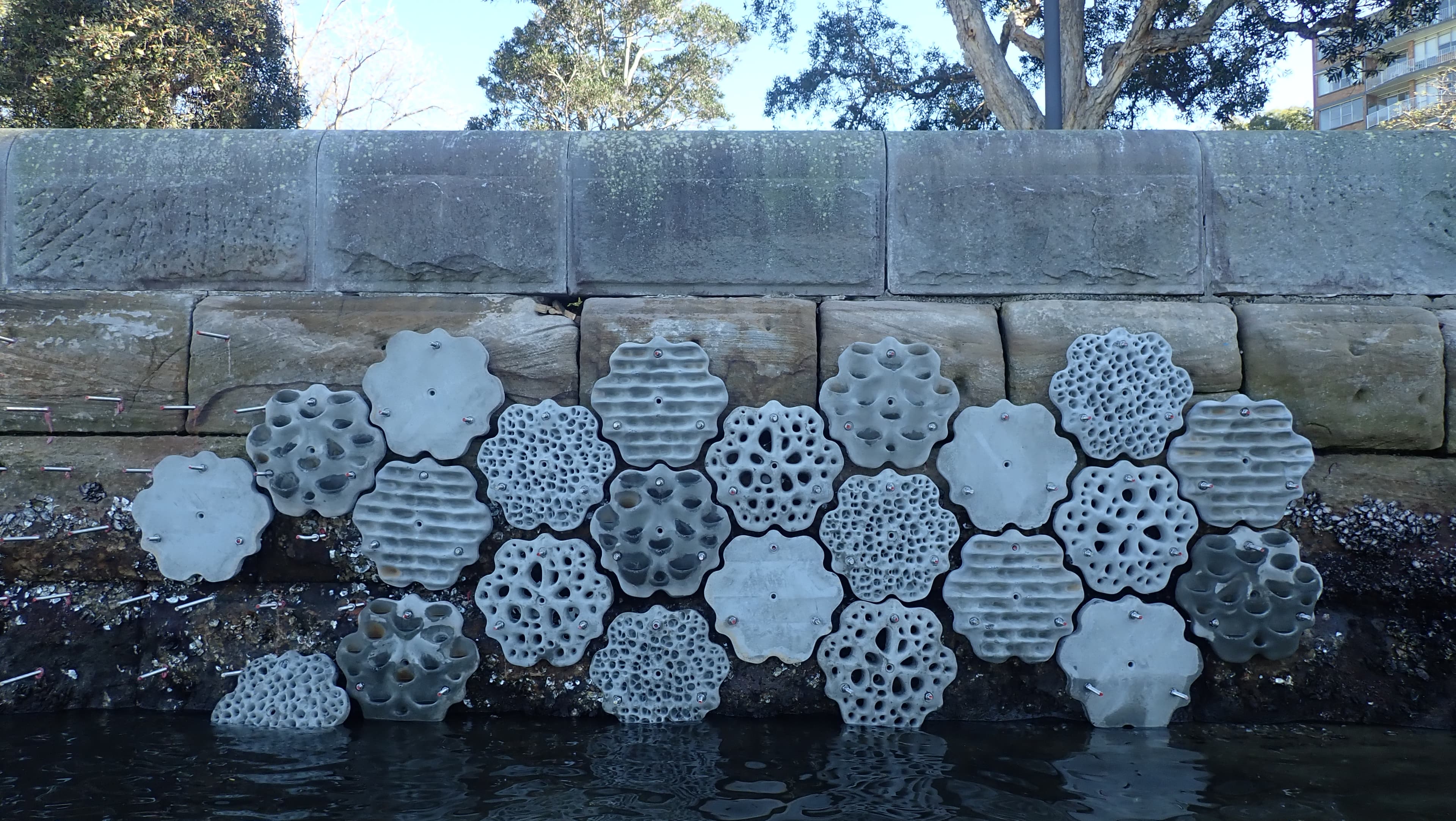 Living Seawalls Breathe Life Into Sydney Harbour