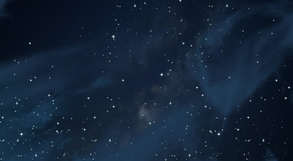 Wayne’s 4×2 – The Vast of Night, Insecure and More