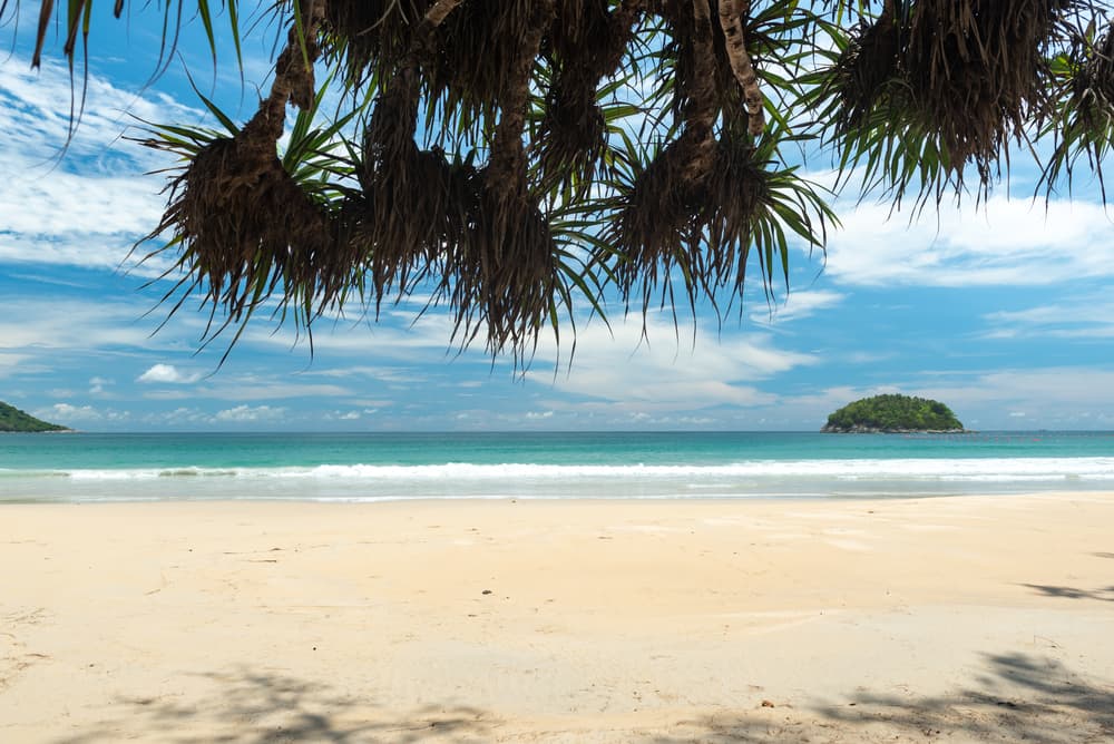 Wayne’s 4×2 – RTJ4, The Beach and More