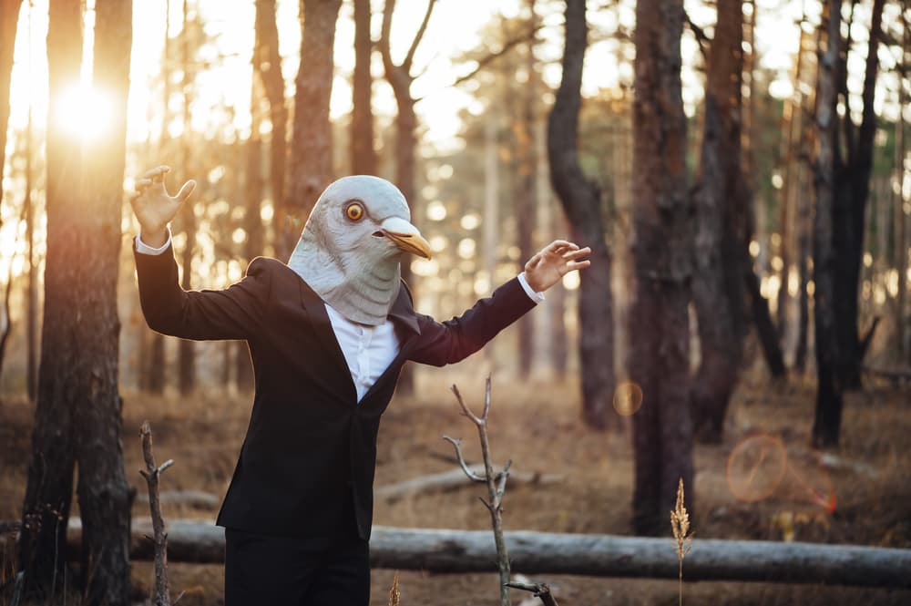 The Canary In The Boardroom