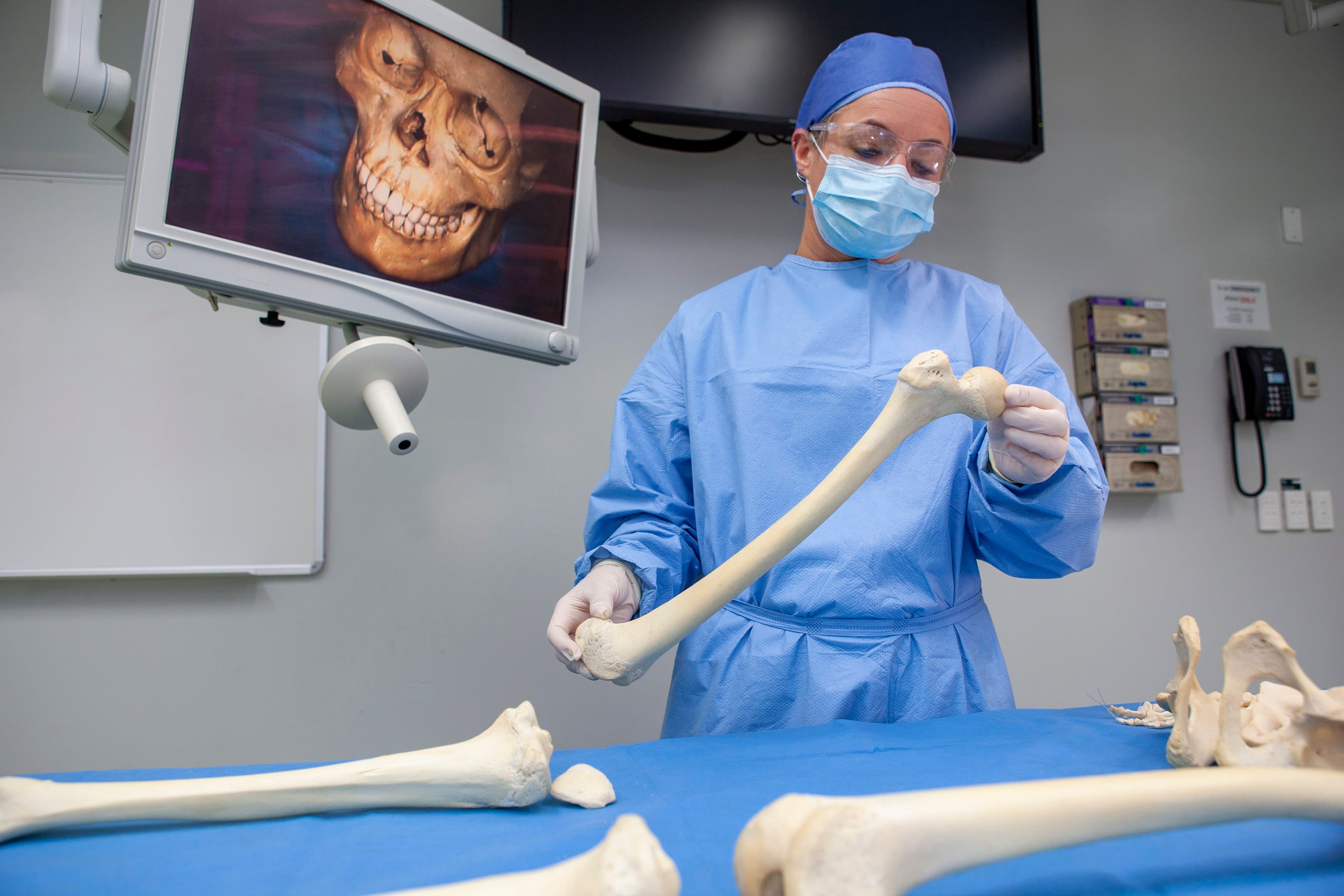 New Program to Identify Human Remains