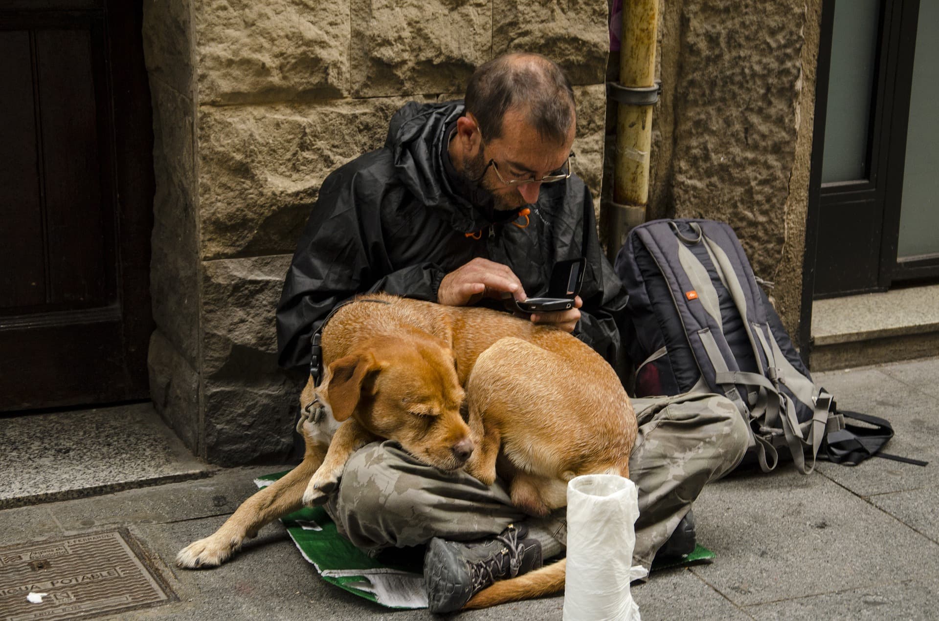 Pets of the Homeless