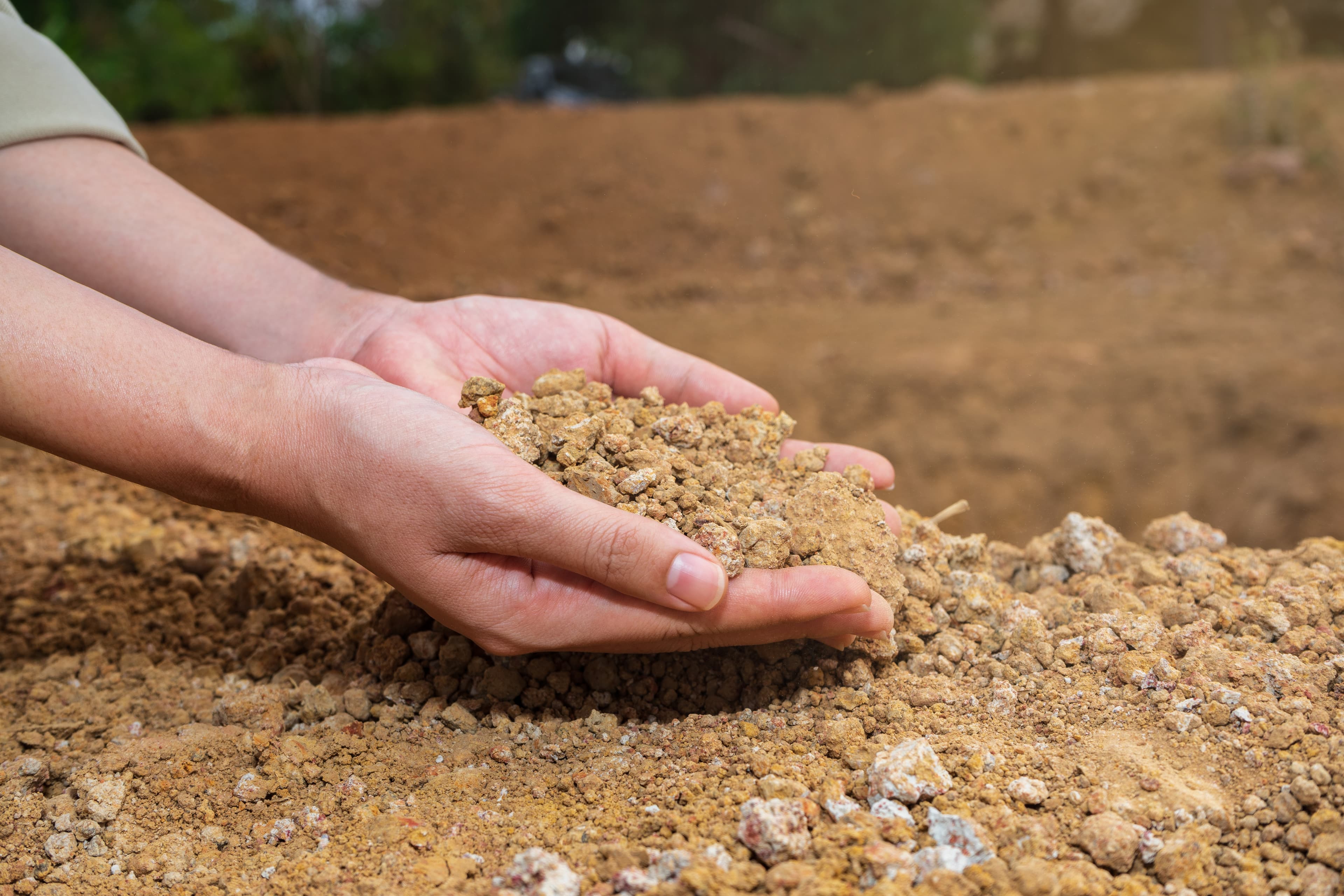 Tinsy Tiny Plants Helping Sustain Dwindling Water Supplies
