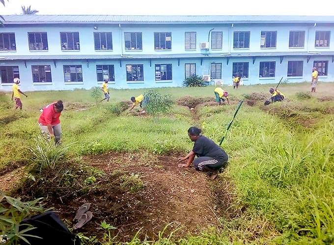 Gardens sustains PNG communities through Covid-19