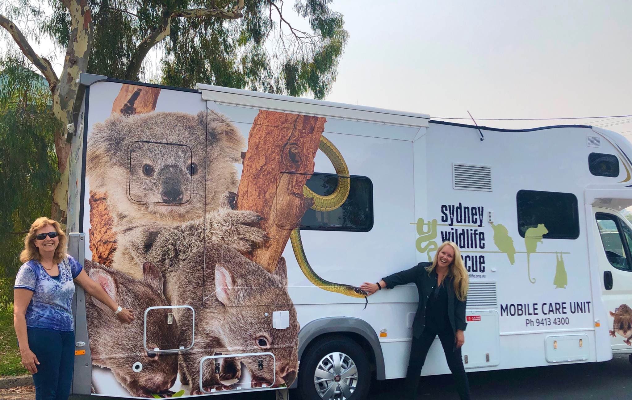 Caring for Wildlife This Spring