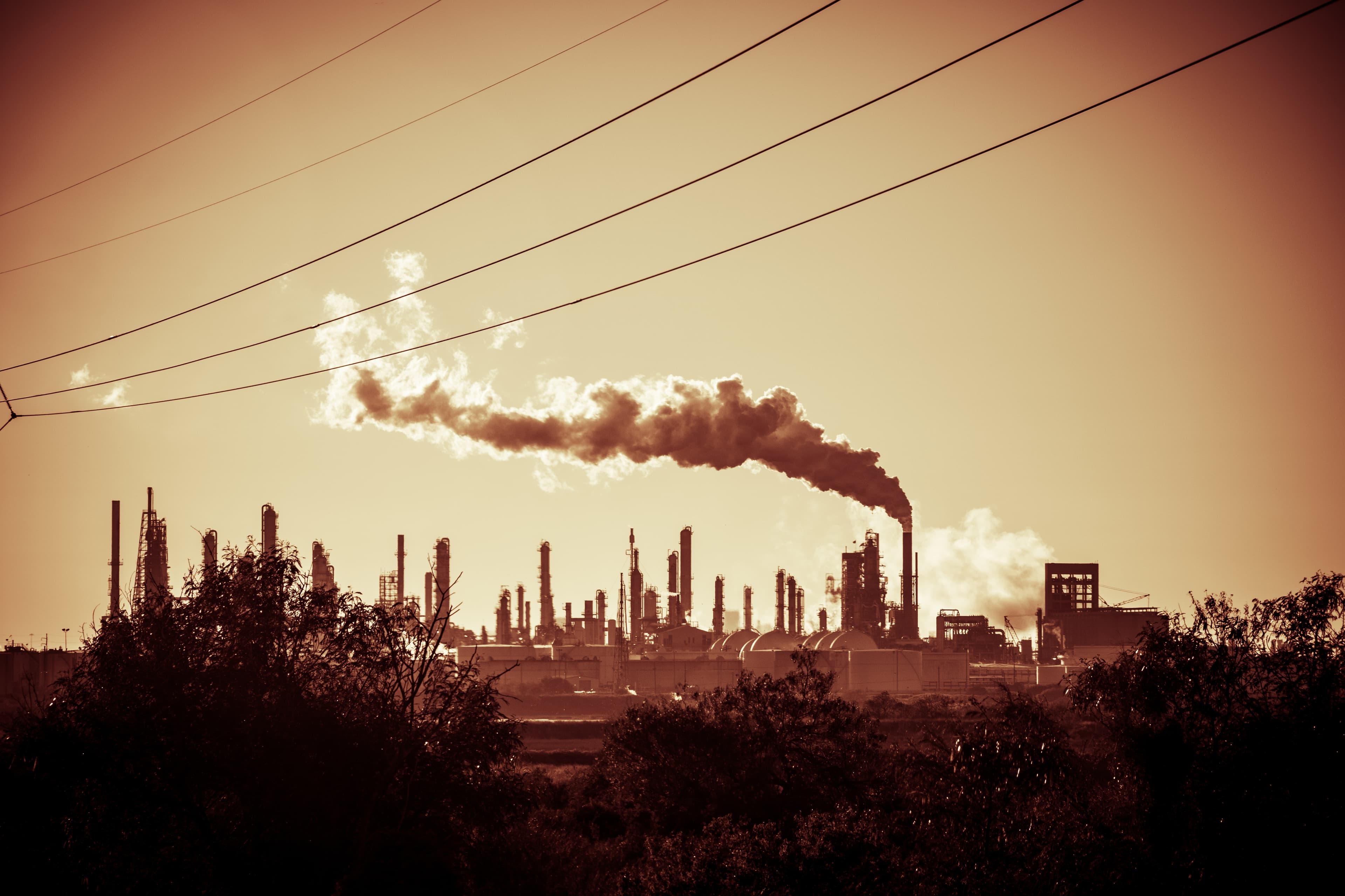 Health groups demand climate action