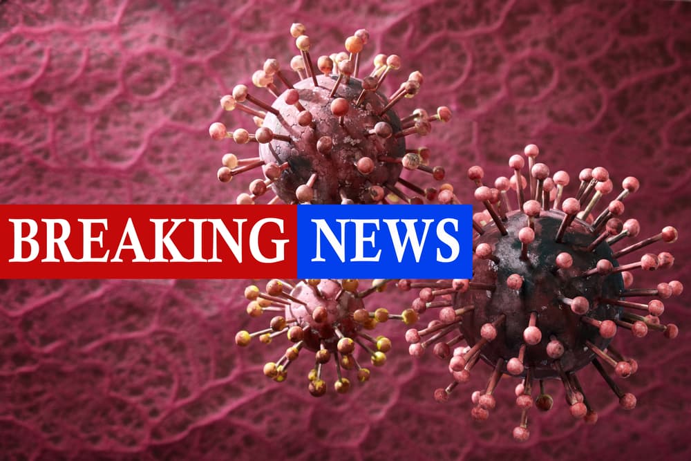 Panic Media: Did We All Catch Coronavirus Fever From The Media?