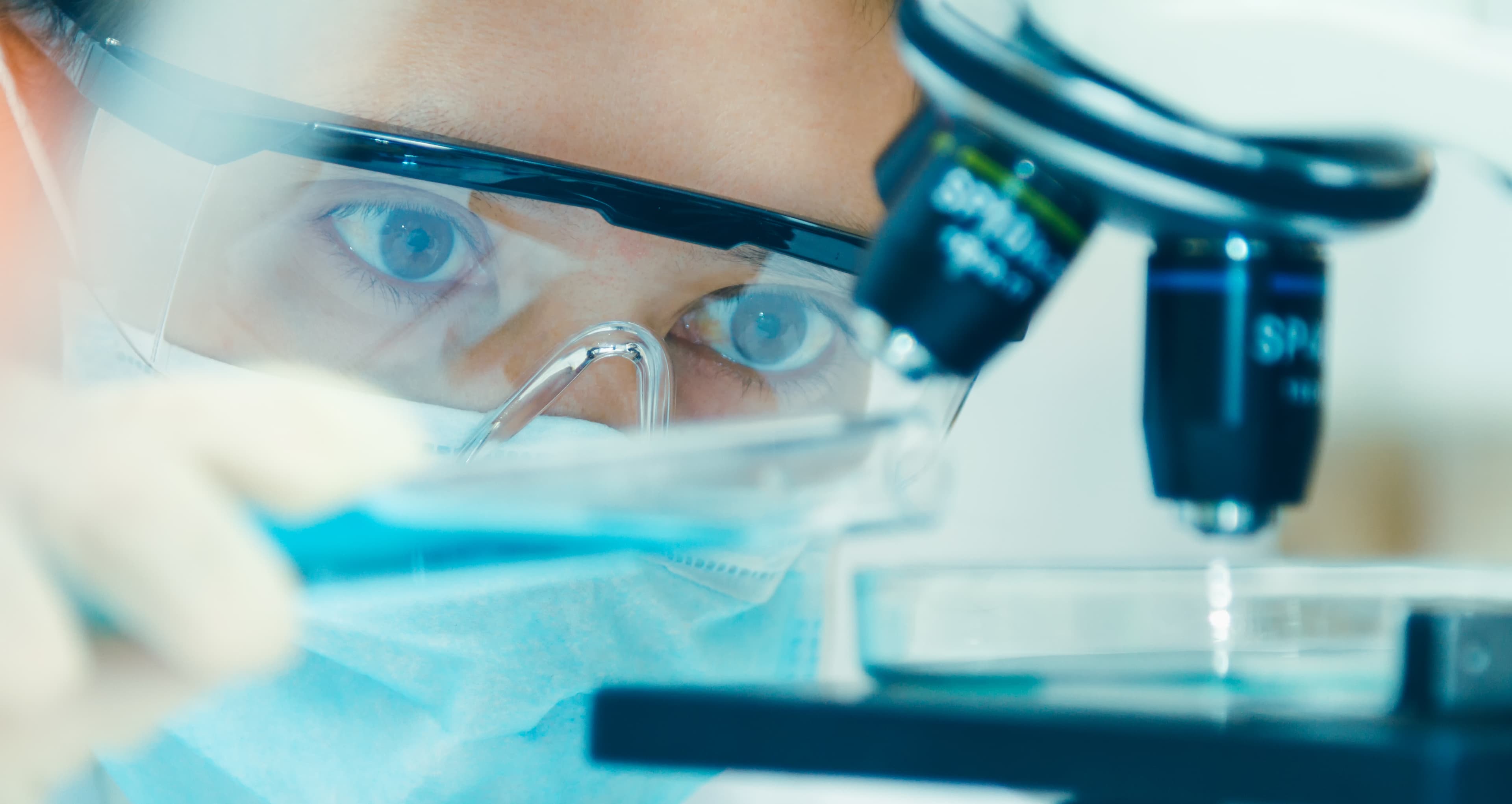 Avocados of the Future