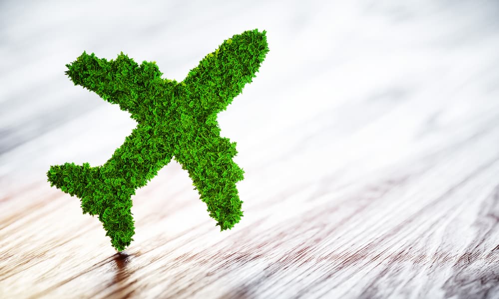 Fight or Flight: The New Age of Sustainable Air Travel