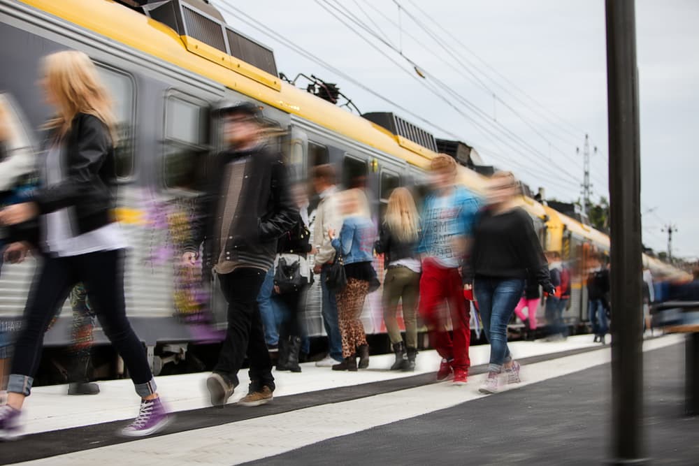 Precarious Housing Part Two, International Students