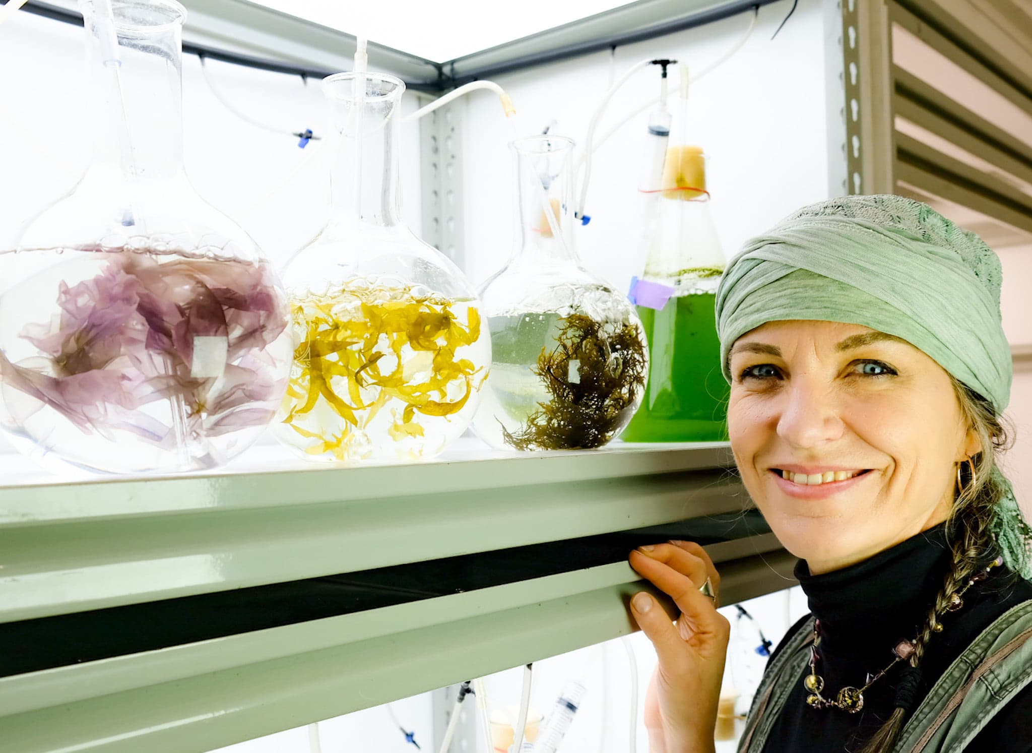 The Seaweed Solution