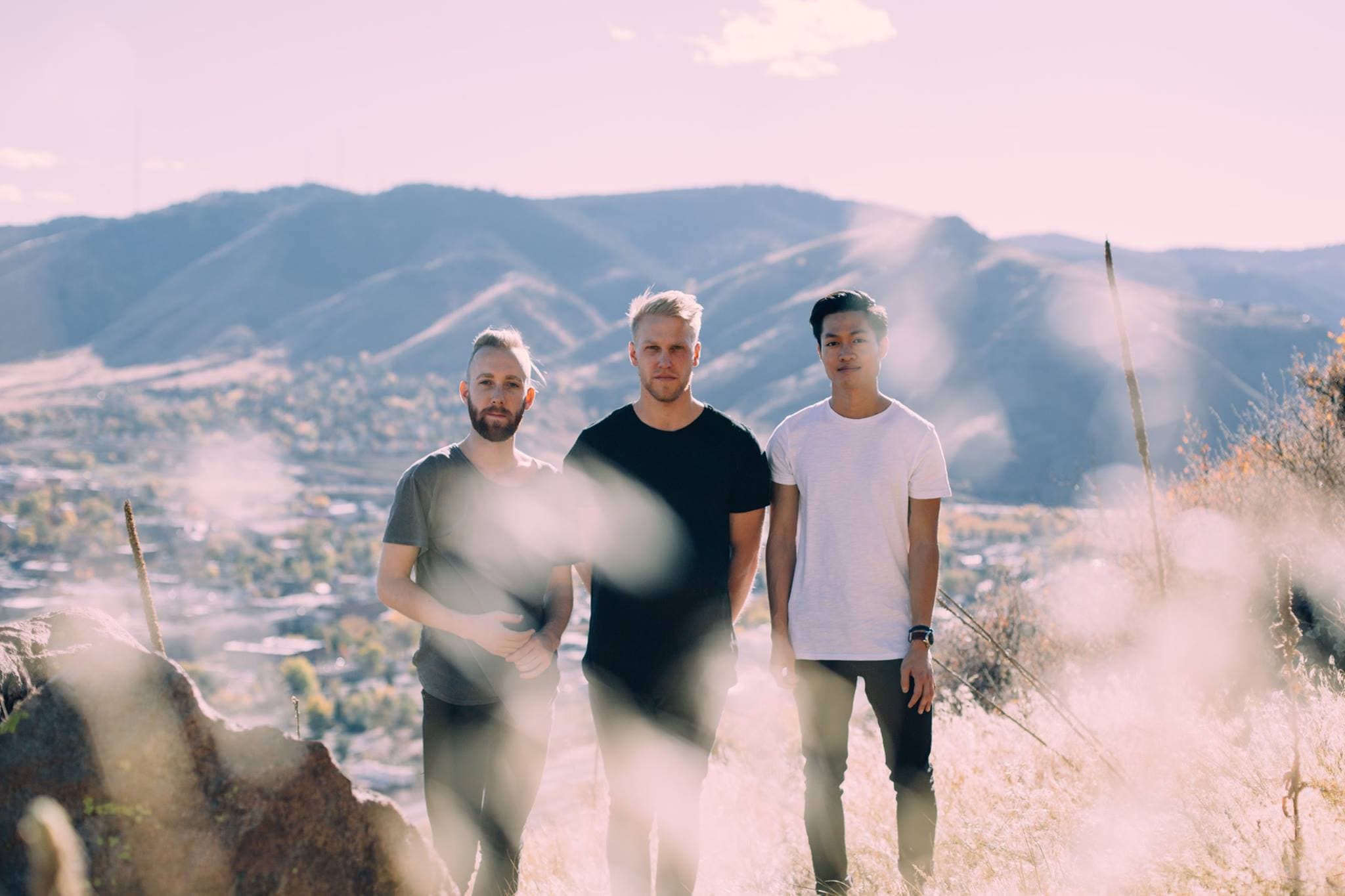 From Loss to Connection;  Pop Filter and Album ‘Banksia’