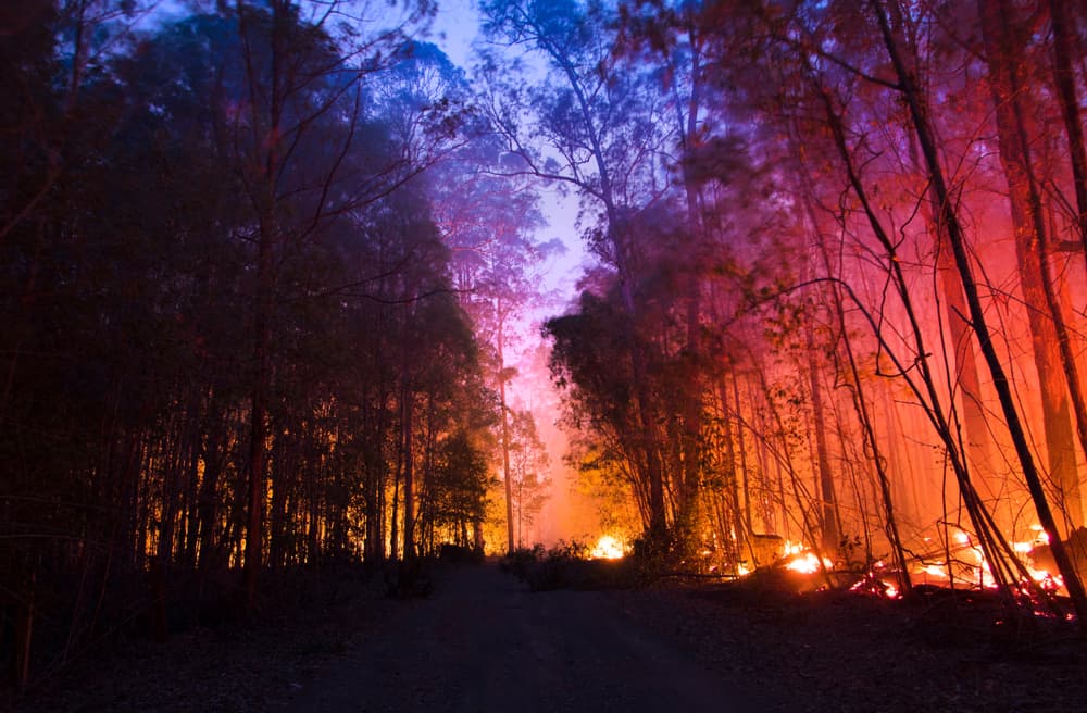 Looking Back on Black Summer