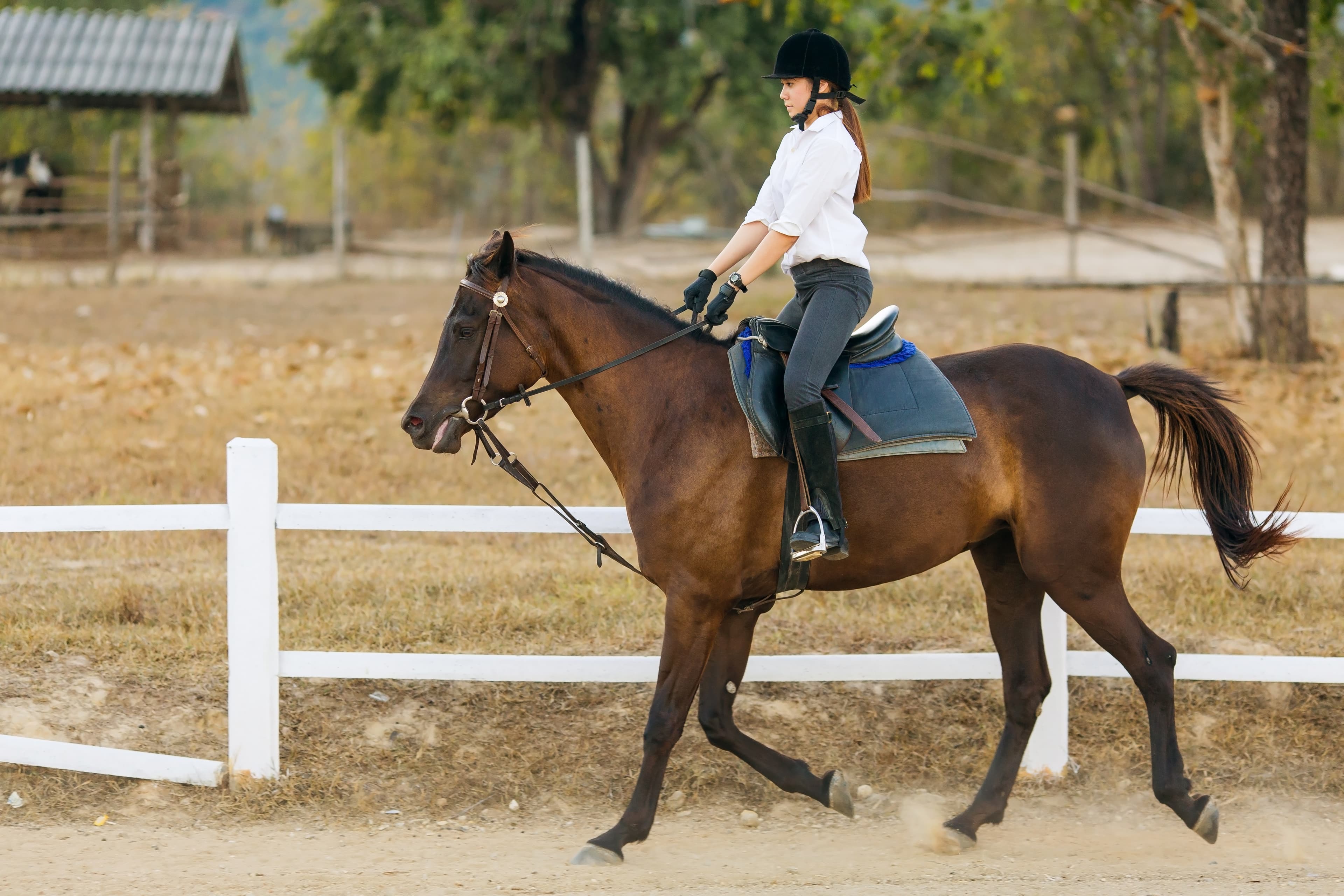 Squishy Minnie Bookstore