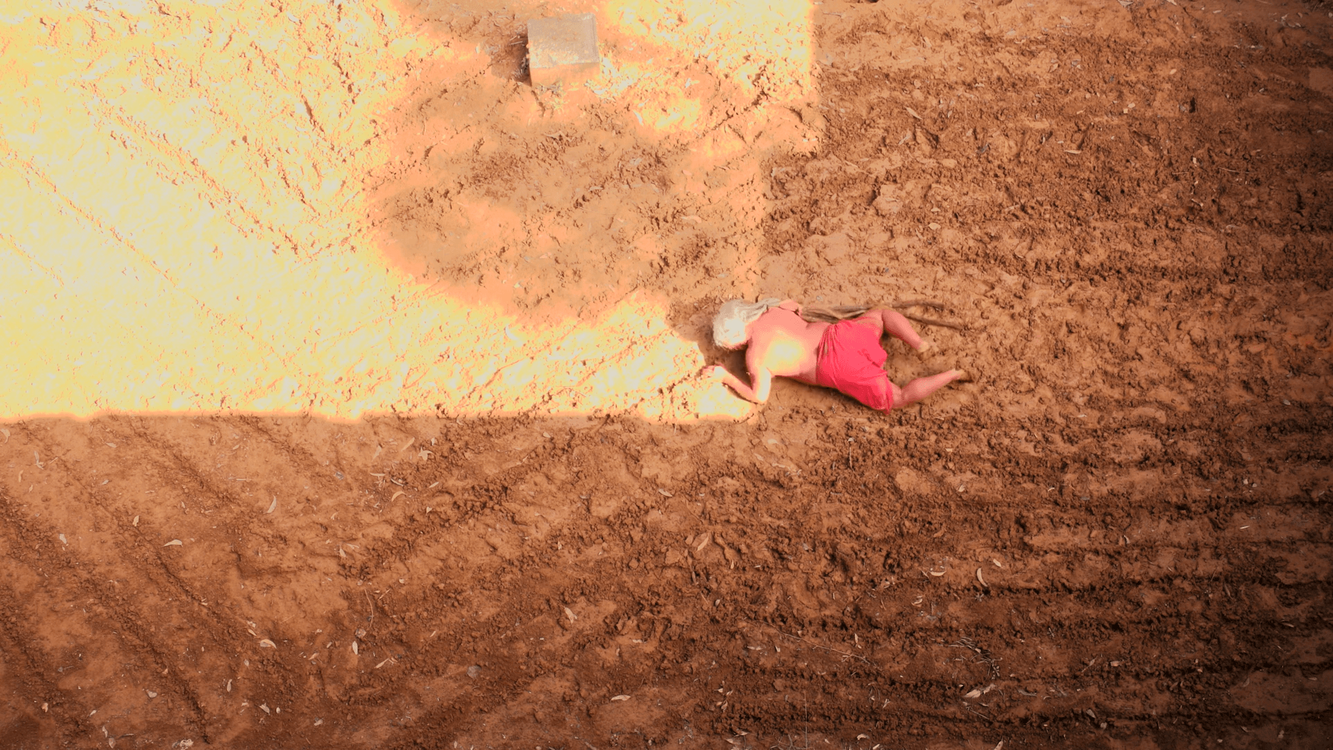 CPAC Re-Opening Exhibitions: Craig Donarski