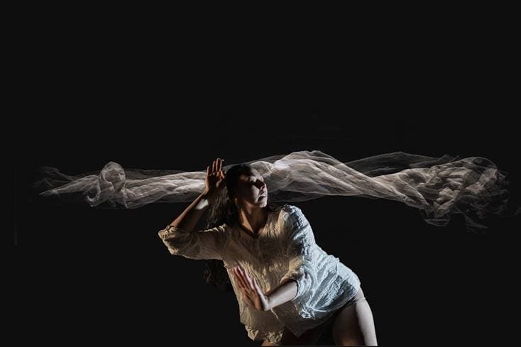 The Complication of Lyrebirds