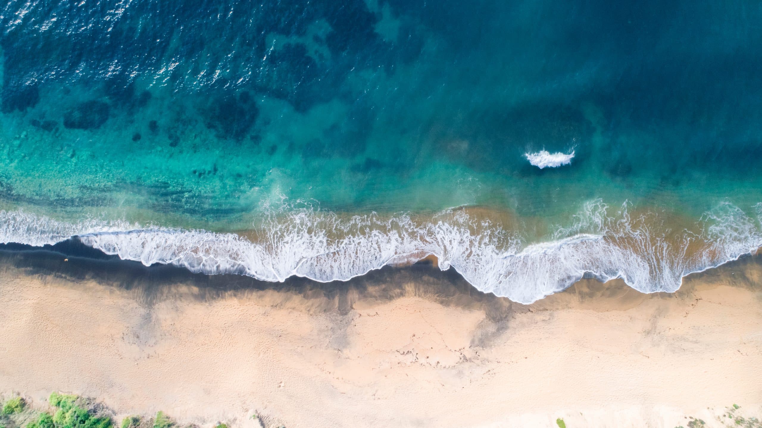 Australian of the Year