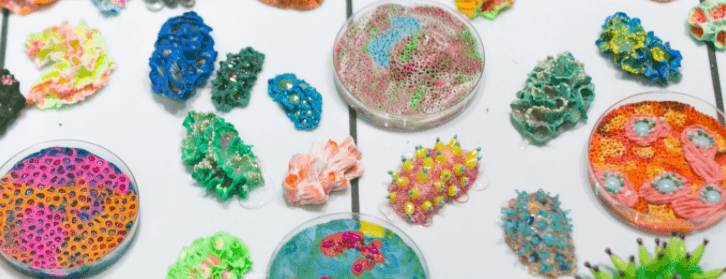 PETSHOP: Creating Art Designed To Be Loved