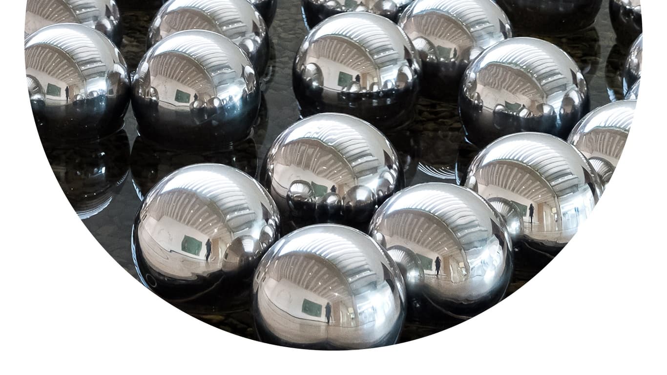 Narcissus Garden Exhibition – Sydney Living Museums