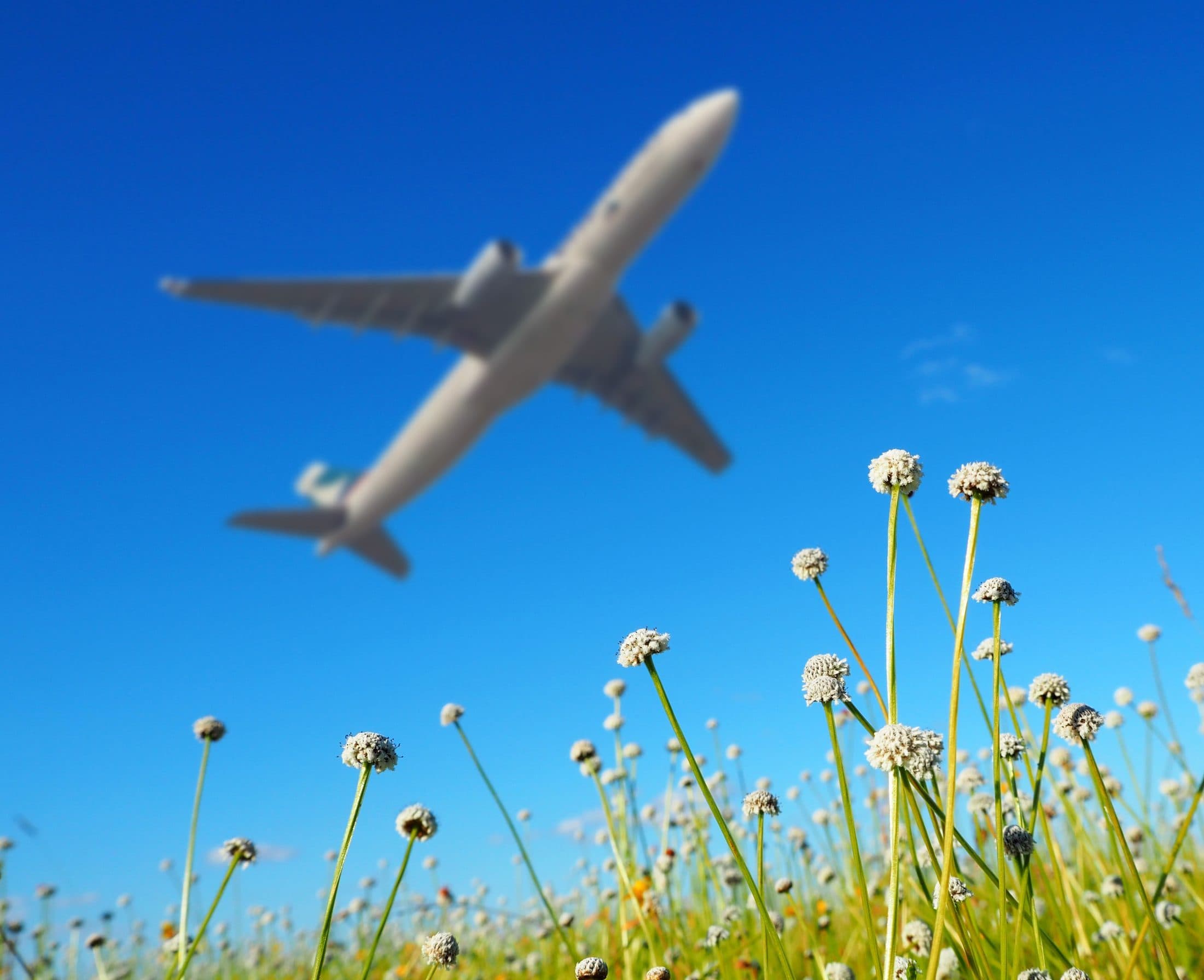 Aviation’s New Solution to Green Conundrum