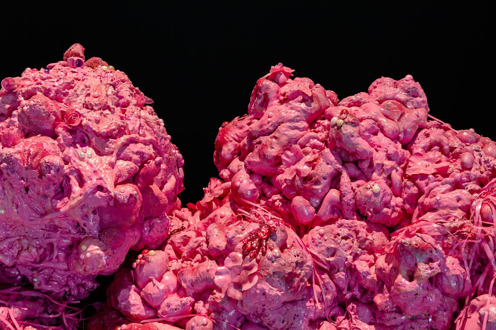 Tentacle Song: Danni Paradiso