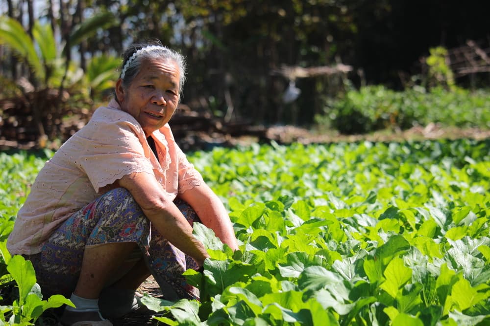 Migrants – The Quiet Environmentalists