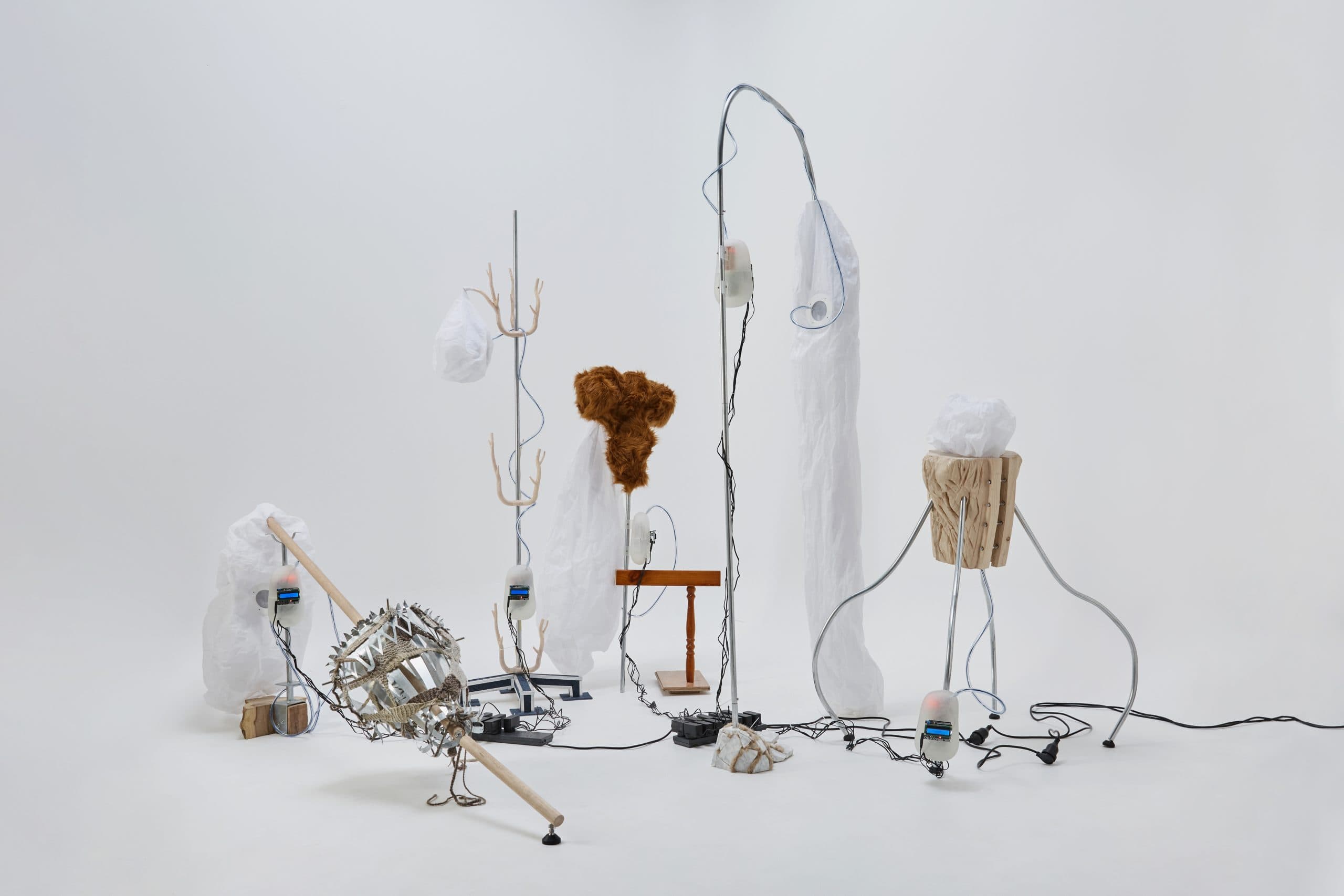 Face Masks & The Indo-Pacific Under The Spotlight In Architect Exhibition