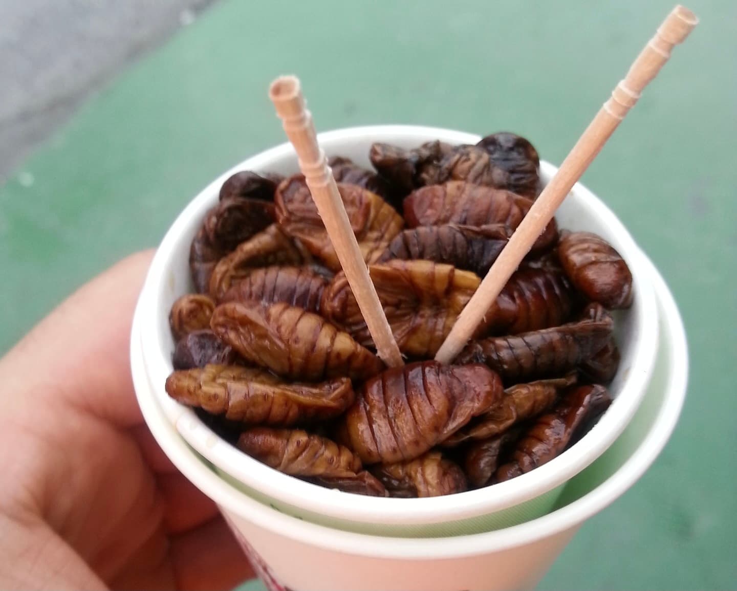 Grub’s Up! Insects To Be Australian Menu Staple