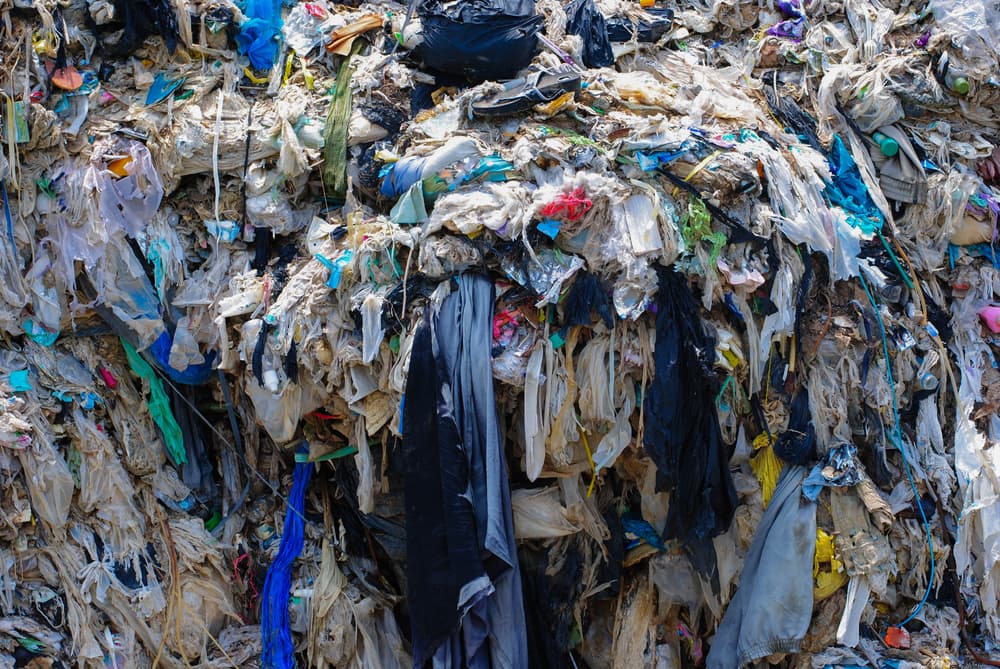 Is It Sustainable? The Growth Of Greenwashing In The Fashion Industry