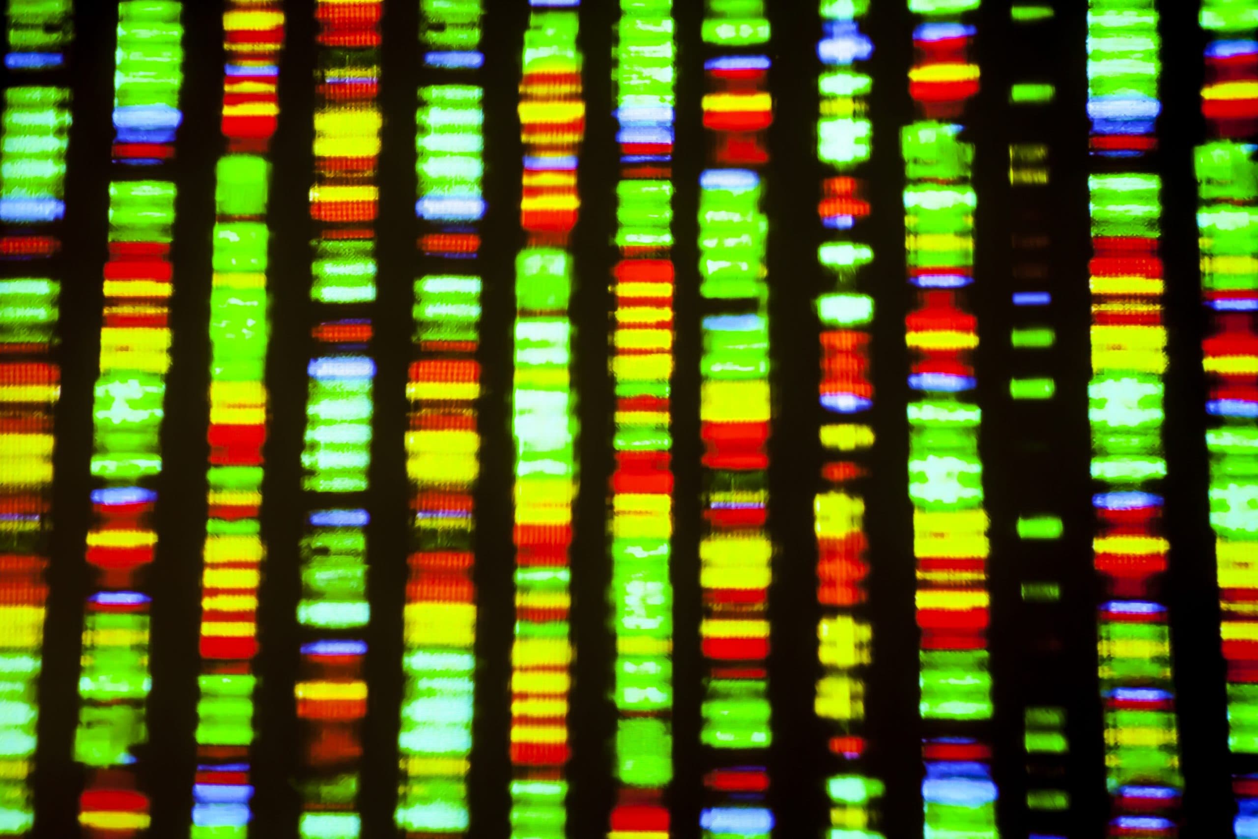The (Almost) Completely Sequenced Human Genome Sequence