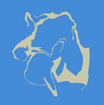 Weyón: A Musical Experience