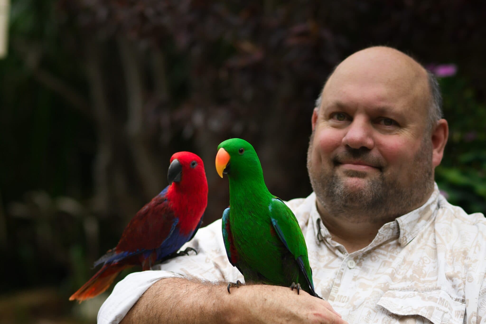 Helping Australians with mental health one parrot at a time