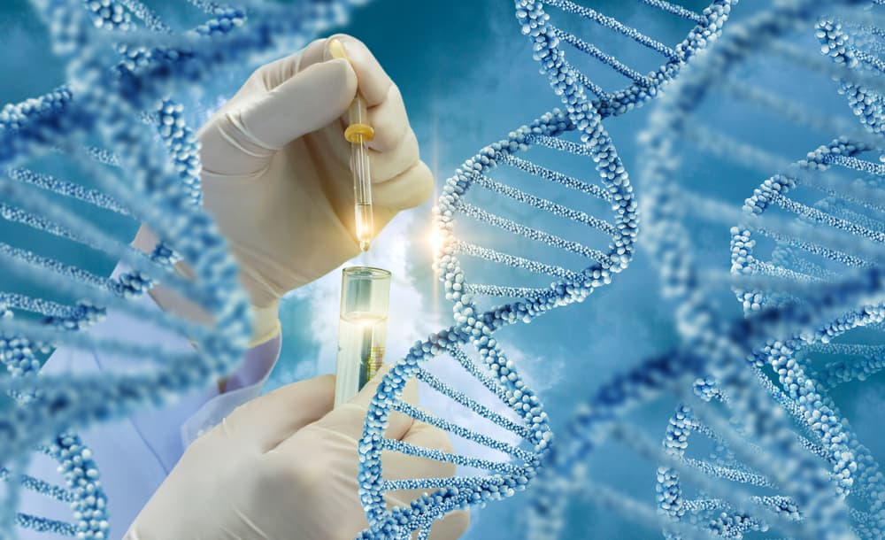 The Ethics of Genetic Testing in IVF