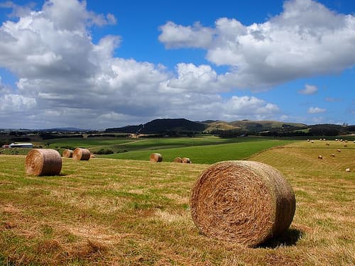 Farmers want governments to step up on climate change