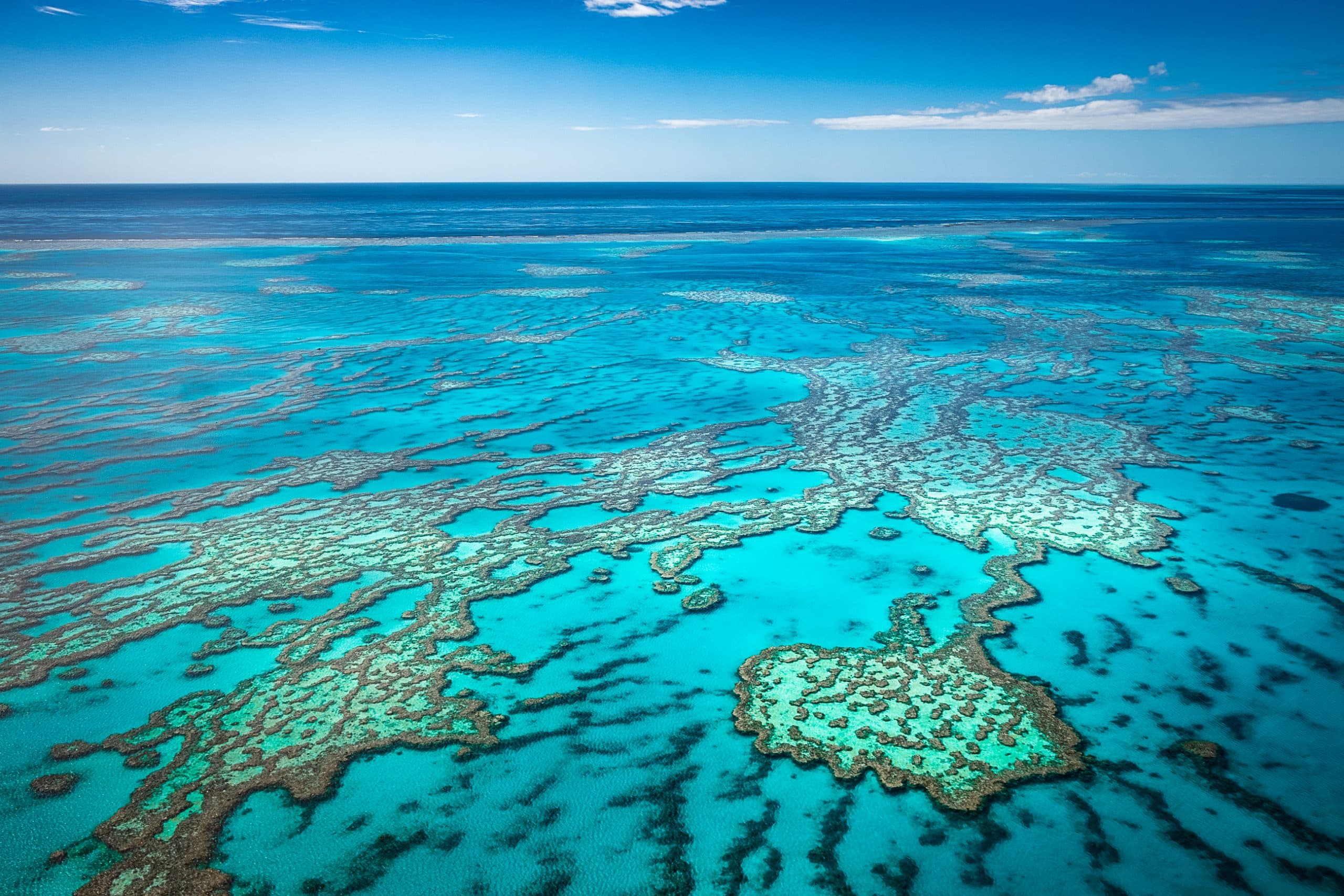 ‘Australia is doing a great job managing its reef’ says Environment Minister following European lobbying blitz
