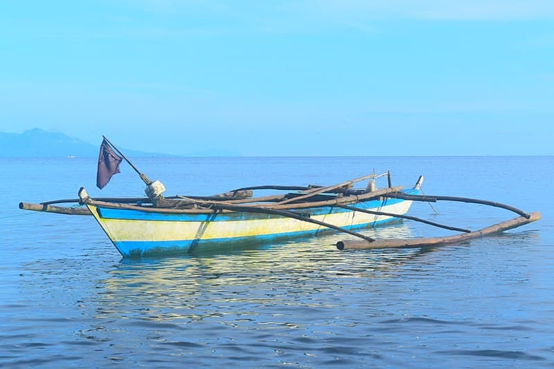 Refugee story “Amphibian” more relevant today than ever