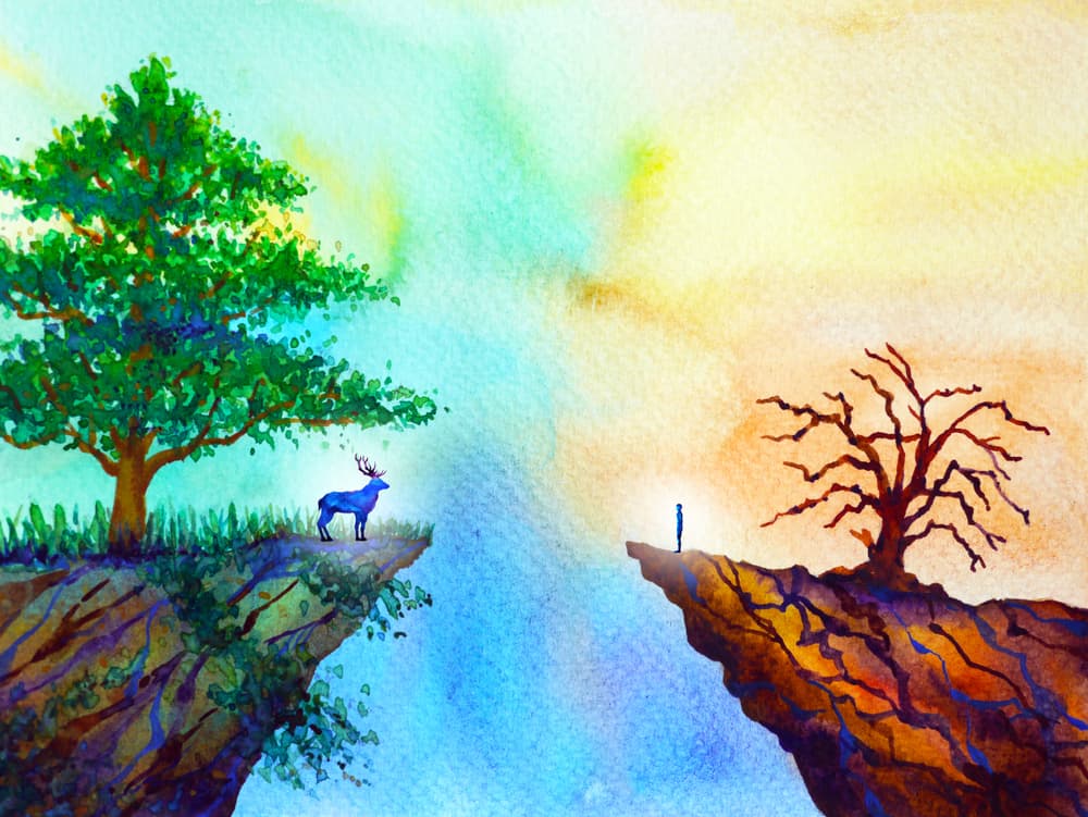 Art and Climate Fatigue